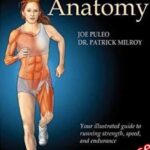Running Anatomy PDF Free Download