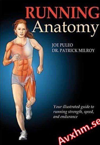 Running Anatomy PDF Free Download