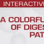USCAP A Colorful Cornucopia of Digestive Tract Pathology 2022 Videos Free Download