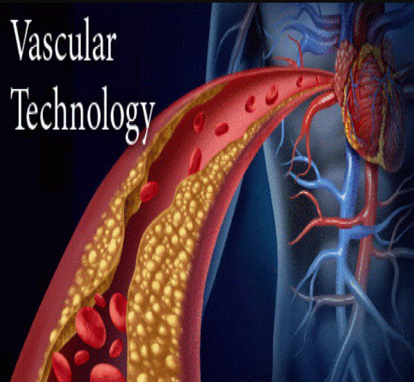 Vascular Technology Review 2022 Videos Free Download