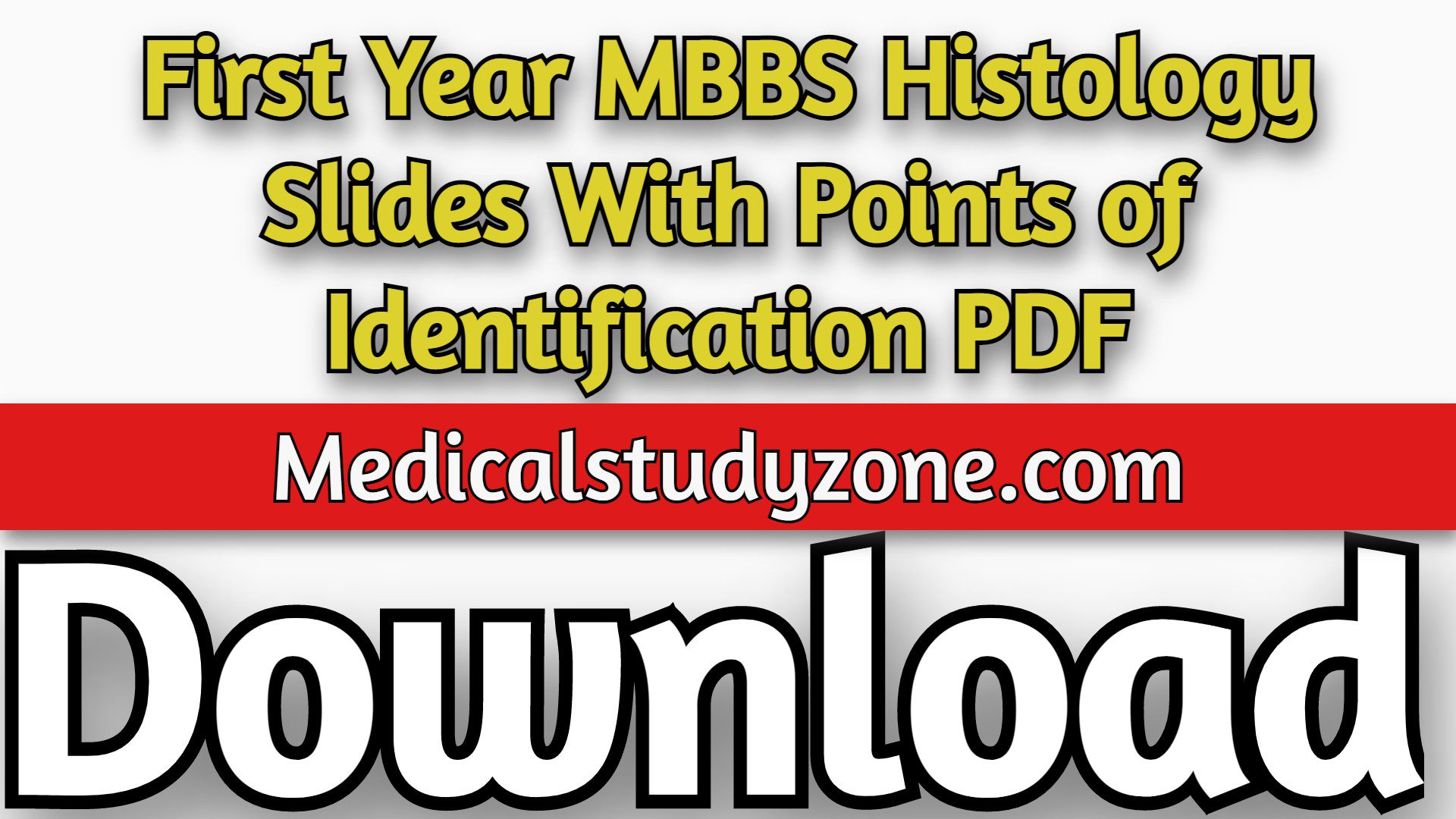 First Year MBBS Histology Slides With Points of Identification PDF Free Download