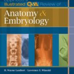 Lippincott's Illustrated Q&A Review of Anatomy and Embryology PDF Free Download