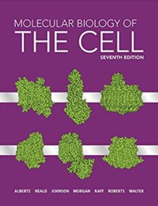 Molecular Biology of the Cell 7th Edition PDF Free Download
