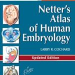 Netter's Atlas of Human Embryology Updated Edition PDF Free Download