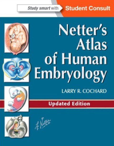 Netter's Atlas of Human Embryology Updated Edition PDF Free Download