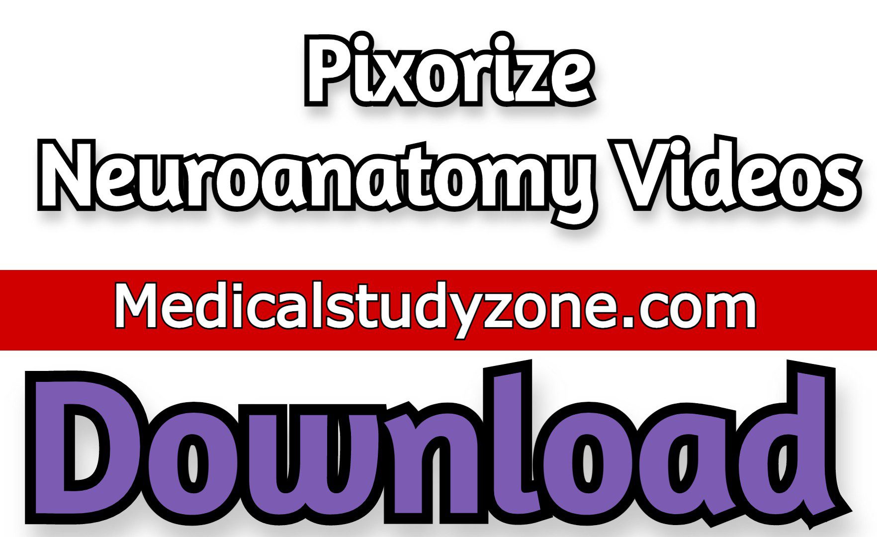 Pixorize Neuroanatomy 2023 Videos Free Download