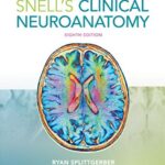 Snell's Clinical Neuroanatomy 8th Edition PDF Free Download