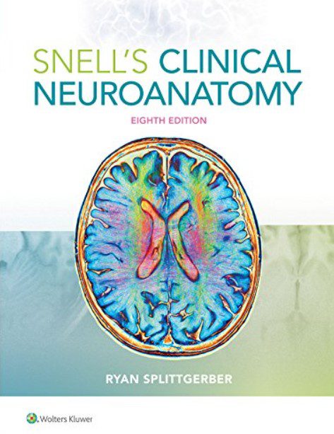 Snell's Clinical Neuroanatomy 8th Edition PDF Free Download