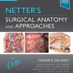 Netter's Surgical Anatomy and Approaches 2nd Edition PDF Free Download