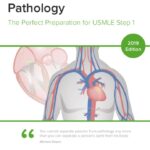 Cardiovascular Pathology The Perfect Preparation for USMLE Step 1 PDF Free Download