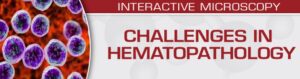 Challenges in Hematopathology 2022 Videos Free Download