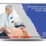Download Gulfcoast Ultrasound Evaluation of the Fetal Heart: Basic and Advanced Techniques 2021 Videos Free
