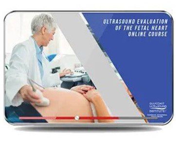 Download Gulfcoast Ultrasound Evaluation of the Fetal Heart: Basic and Advanced Techniques 2021 Videos Free