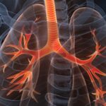 Download The Brigham Board Review and Comprehensive Update in Pulmonary Medicine 2022 Videos Free