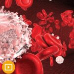 Download The Brigham and Dana-Farber Board Review and Comprehensive Update in Hematology and Oncology 2022 Videos Free