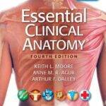 Essential Clinical Anatomy 4th Edition PDF Free Download
