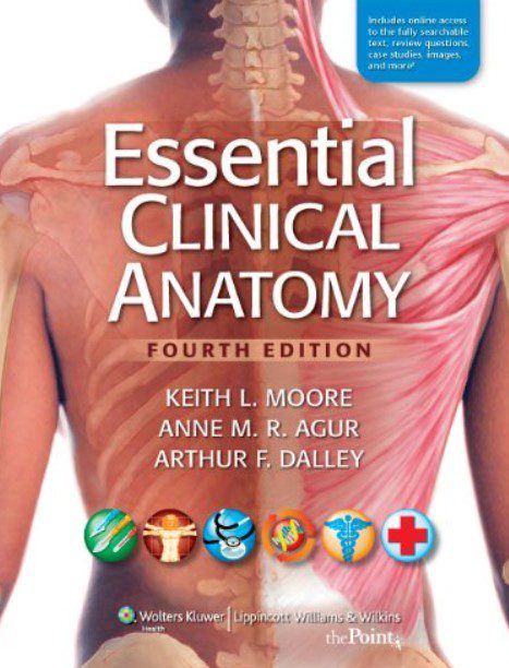Essential Clinical Anatomy 4th Edition PDF Free Download
