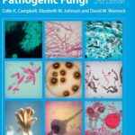 Identification Of Pathogenic Fungi 2nd Edition PDF Free Download