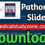 Pathoma Slides 2022 PDF Free Download