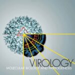 Virology: Molecular Biology and Pathogenesis PDF Free Download