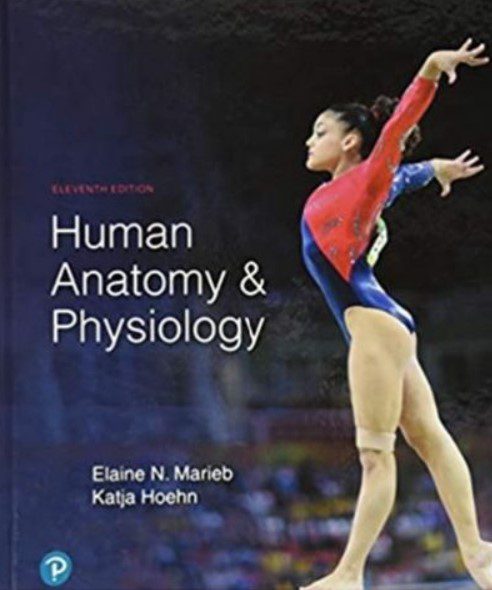 Human Anatomy & Physiology 11th Edition PDF Free Download