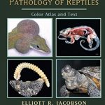 Infectious Diseases and Pathology of Reptiles: Color Atlas and Text PDF Free Download