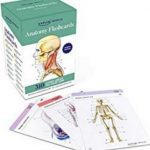 Kaplan Anatomy Flashcards 4th Edition PDF Free Download