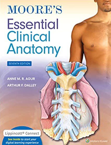 Moore's Essential Clinical Anatomy 7th Edition PDF Free Download