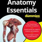 Anatomy Essentials For Dummies 1st Edition PDF Free Download