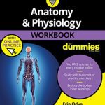 Anatomy & Physiology Workbook For Dummies 3rd Edition by Erin Odya PDF Free Download