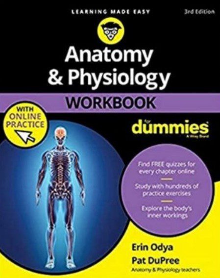 Anatomy and Physiology Workbook for Dummies 3rd Edition PDF Free Download