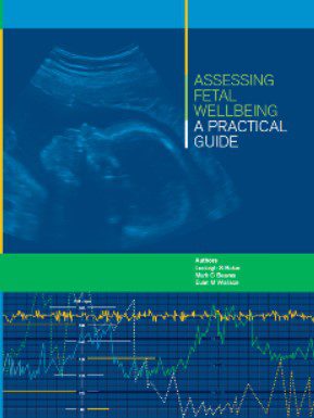 Assessing Fetal Wellbeing : A Practical Guide PDF Free Download