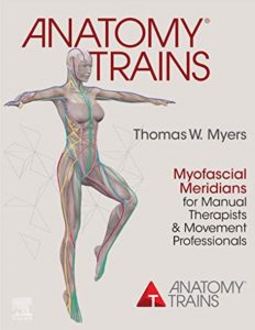 Download Anatomy Trains: Myofascial Meridians for Manual Therapists and Movement Professionals 4th Edition PDF Free