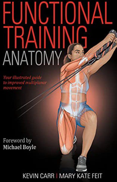 functional anatomy pdf