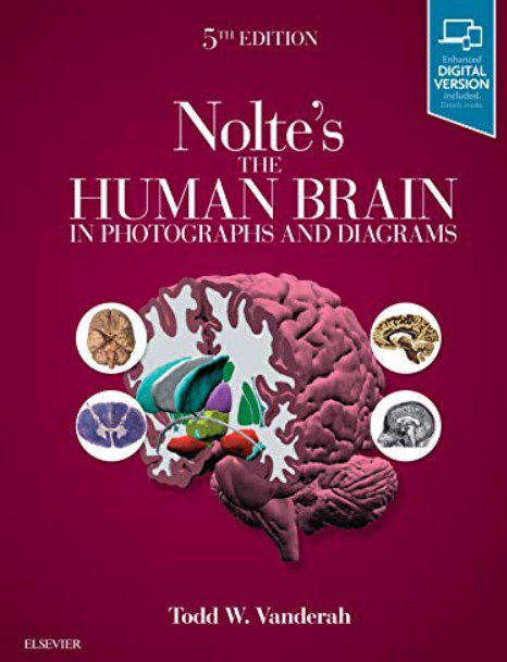 Nolte’s The Human Brain in Photographs and Diagrams 5th Edition PDF Free Download
