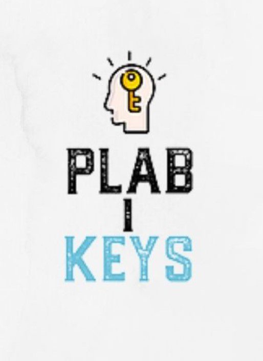 Download Plabkeys 2023 Version 3 PDF Free