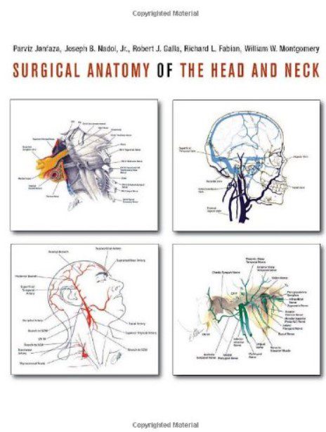 Surgical Anatomy of the Head and Neck PDF Free Download