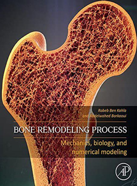 Bone Remodeling Process: Mechanics, Biology, and Numerical Modeling PDF Free Download