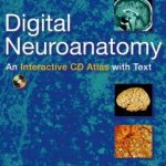 Digital Neuroanatomy PDF Free Download