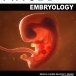 Physeo Embryology Medical Course and Step 1 Review PDF Free Download