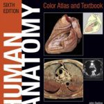 Human Anatomy: Color Atlas and Textbook 6th Edition PDF Free Download