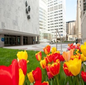 Mayo Clinic Internal Medicine Board Review 2022 Videos Free Download