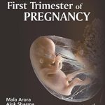 A Practical Guide to First Trimester of Pregnancy PDF Free Download
