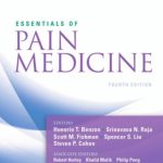 Essentials of Pain Medicine 4th Edition PDF Free Download