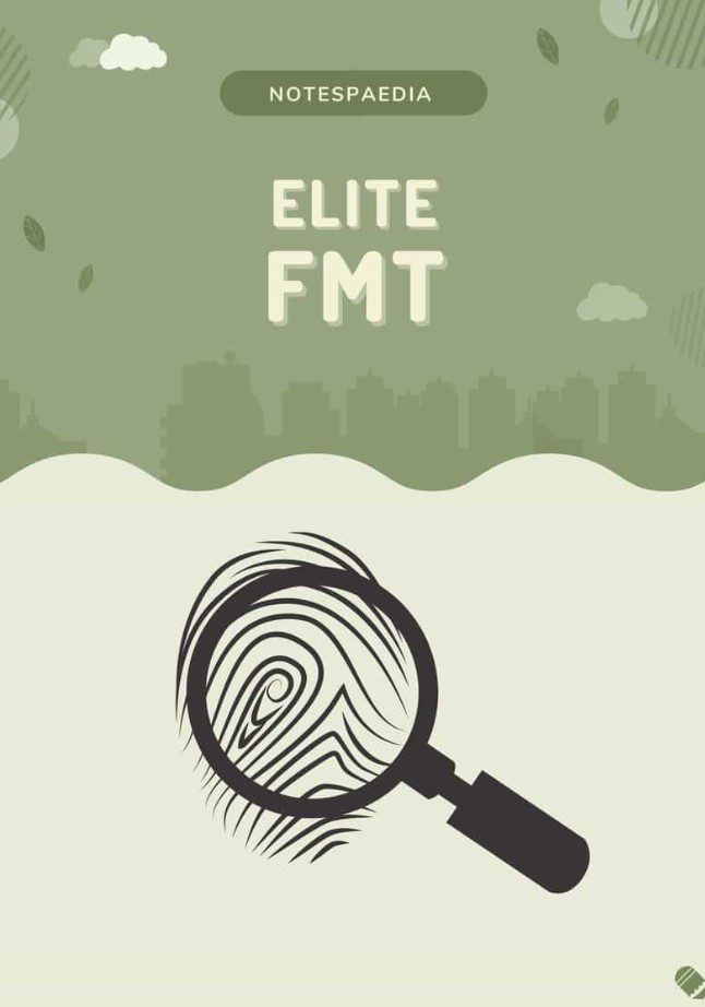 Notespaedia Elite FMT PDF Free Download