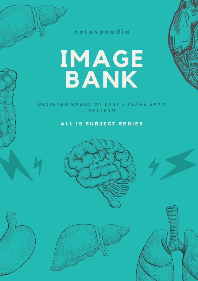 Notespaedia Image Bank Full Set PDF Free Download [ALL Subjects 900mb]
