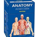 Anatomy (Quickstudy) Cards PDF Free Download
