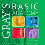 Gray’s Basic Anatomy 2nd Edition PDF Free Download