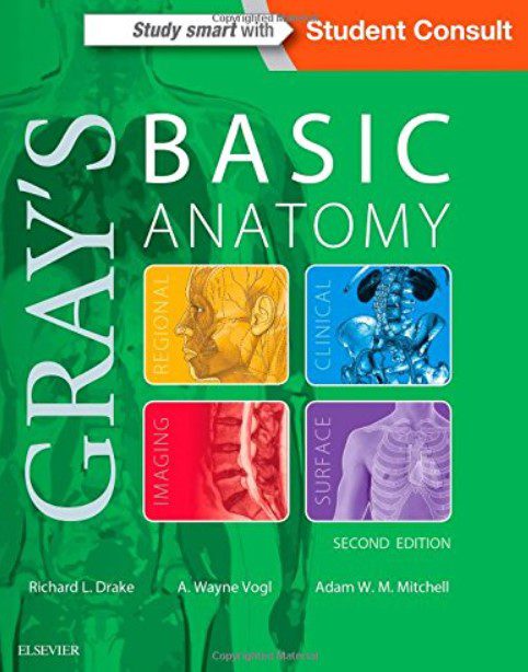 Gray’s Basic Anatomy Latest Edition PDF Free Download