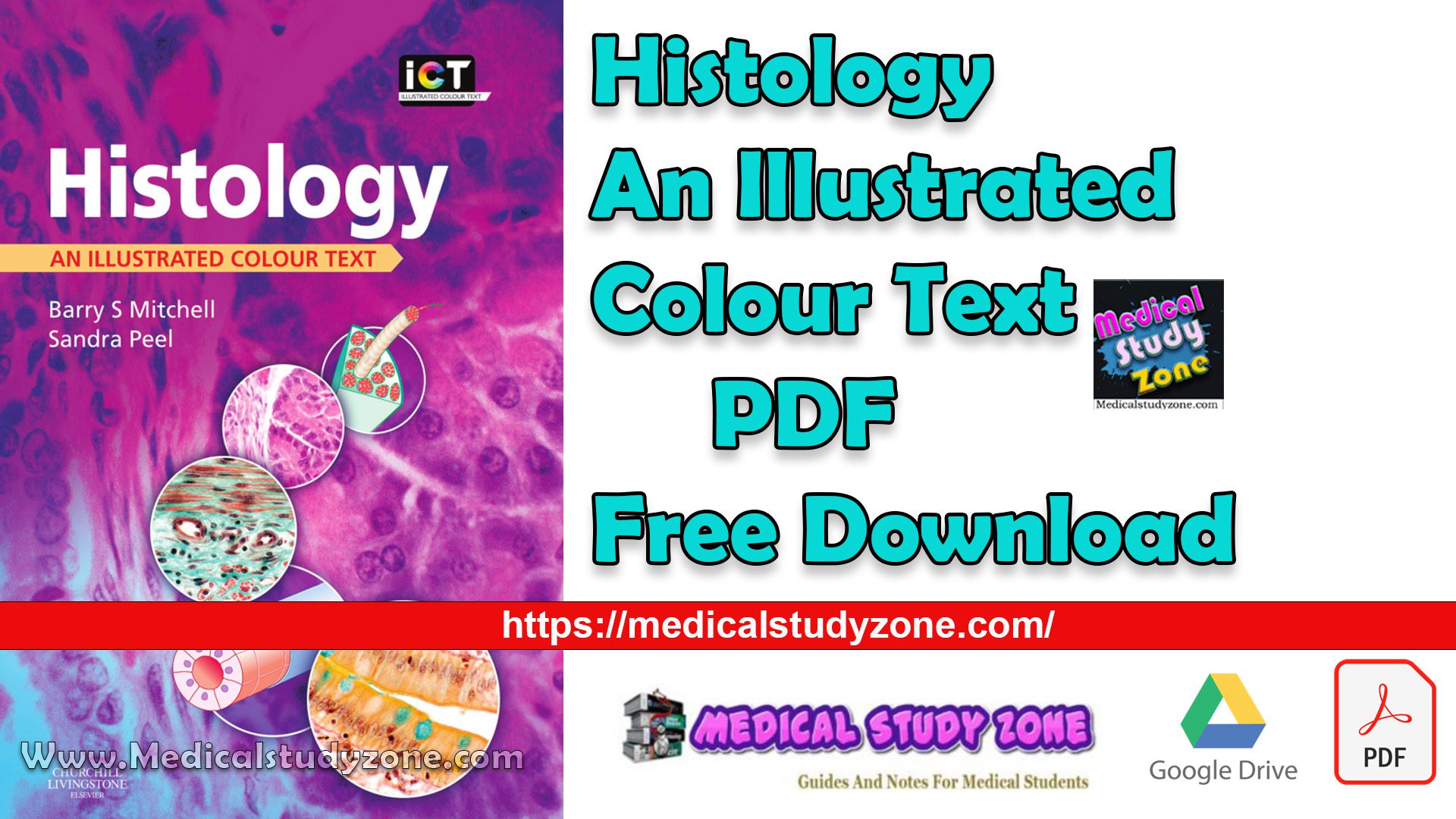 Histology An Illustrated Colour Text PDF Free Download